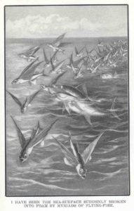 Light Runner, by Philip Brown